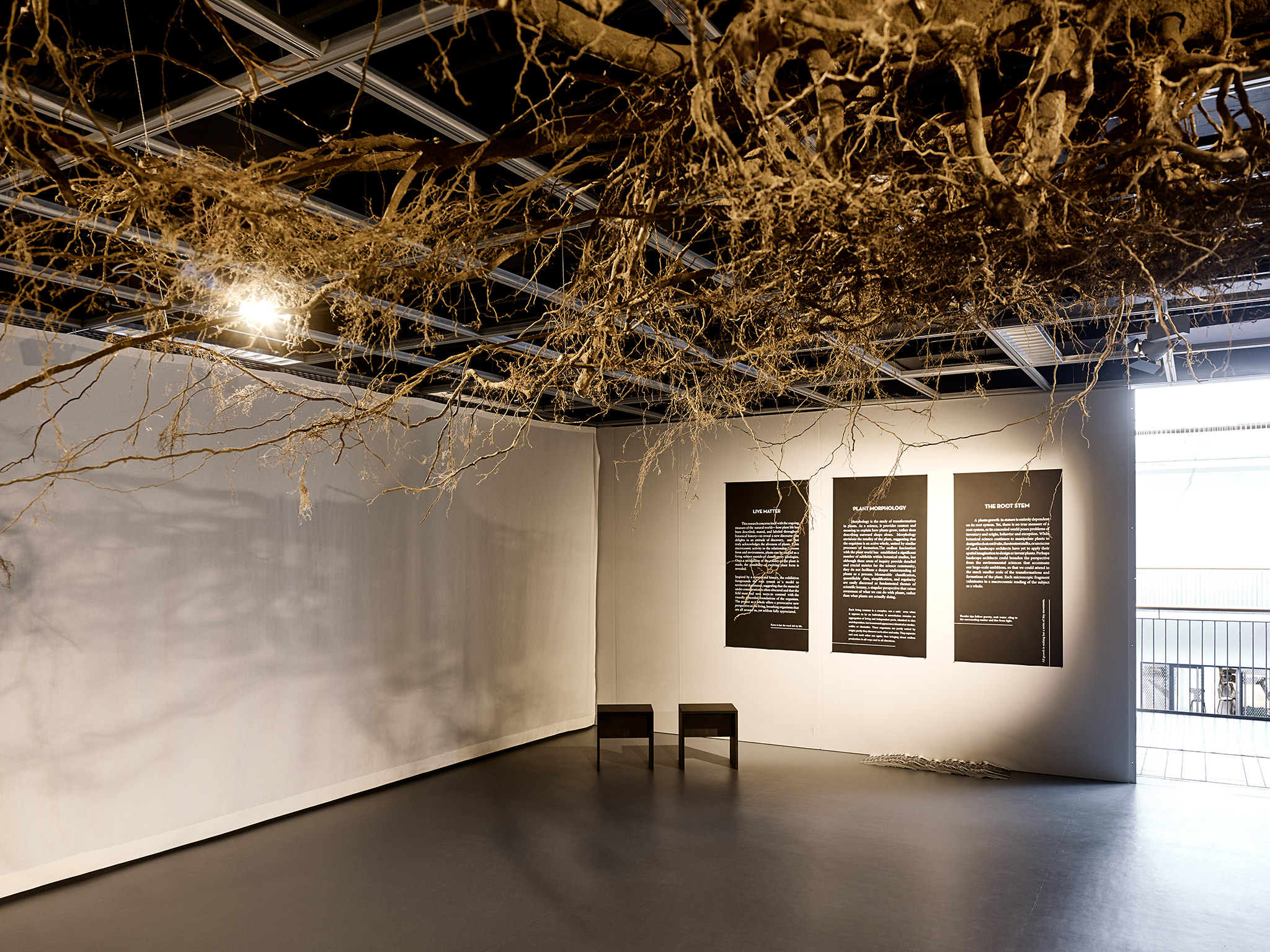 LIVE MATTER - Design Vegetal